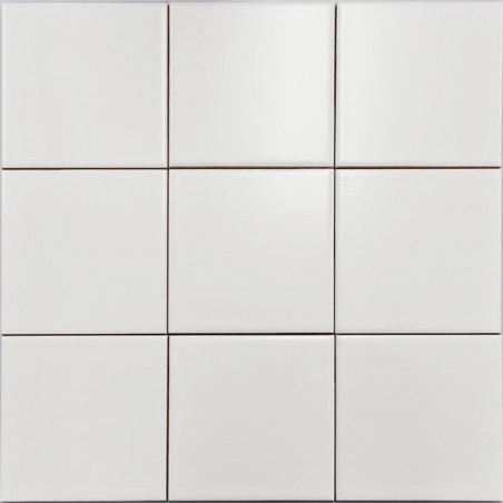 White Matt Non-Rectified Subway Ceramic 100x100