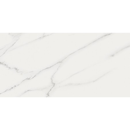 Marmi Reali Carrara Mat/Ret Italian Porcelain Tile 400x800
