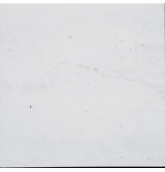 Bianco Royal Honed Marble Tiles