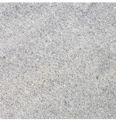 Silver Paradiso/Ash Grey Flamed Step Riser Granite