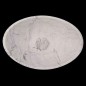 Persian White Honed Oval Concave Design Basin Marble 4377 With Matching Pop-Up Waste