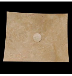 New Botticino Honed Plate Design Basin Marble 4464