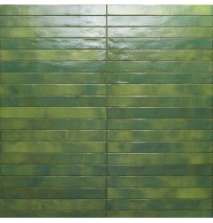 Italian Colors Green Brick Gloss Porcelain Tiles 450x48