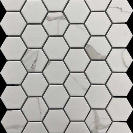 Marble Look Hexagon Matt Porcelain Mosaic Tiles 55x55
