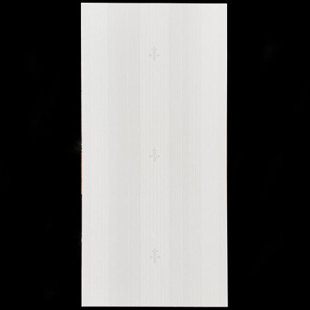 Satin Avorio Italian Porcelain Tile 310X622