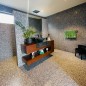 Gem Black Honed HD Terrazzo