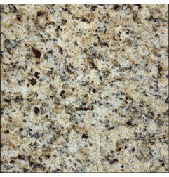 Giallo Ornamental Polished Granite Tiles