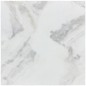 Calacatta Isola Honed Marble Tiles