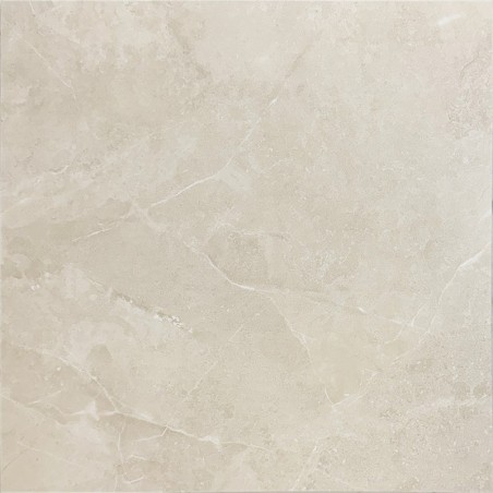 Light Beige Matt Porcelain Tile