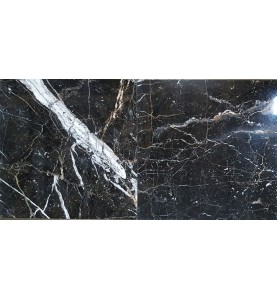 Black and Gold Polished Marble