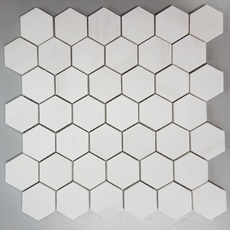 Dolomite white Hexagon Honed Marble Mosaic 48x48