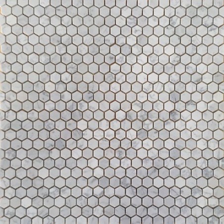 Carrara Hexagon Honed Marble Mosaic Tiles 25x25