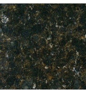 Butterfly Green Polished Granite