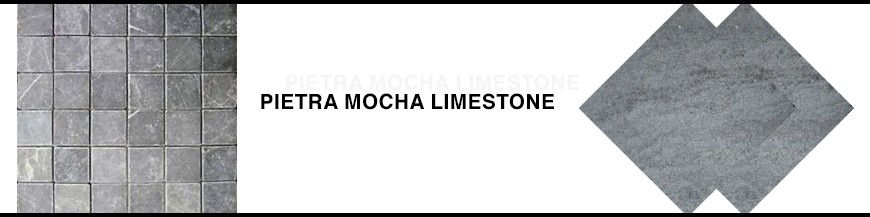 Pietra Mocha Limestone