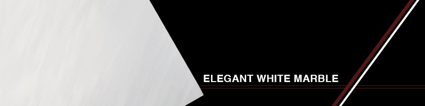 Elegant White Marble